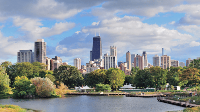 A park in the late summer with the Chicago skyline in the background.