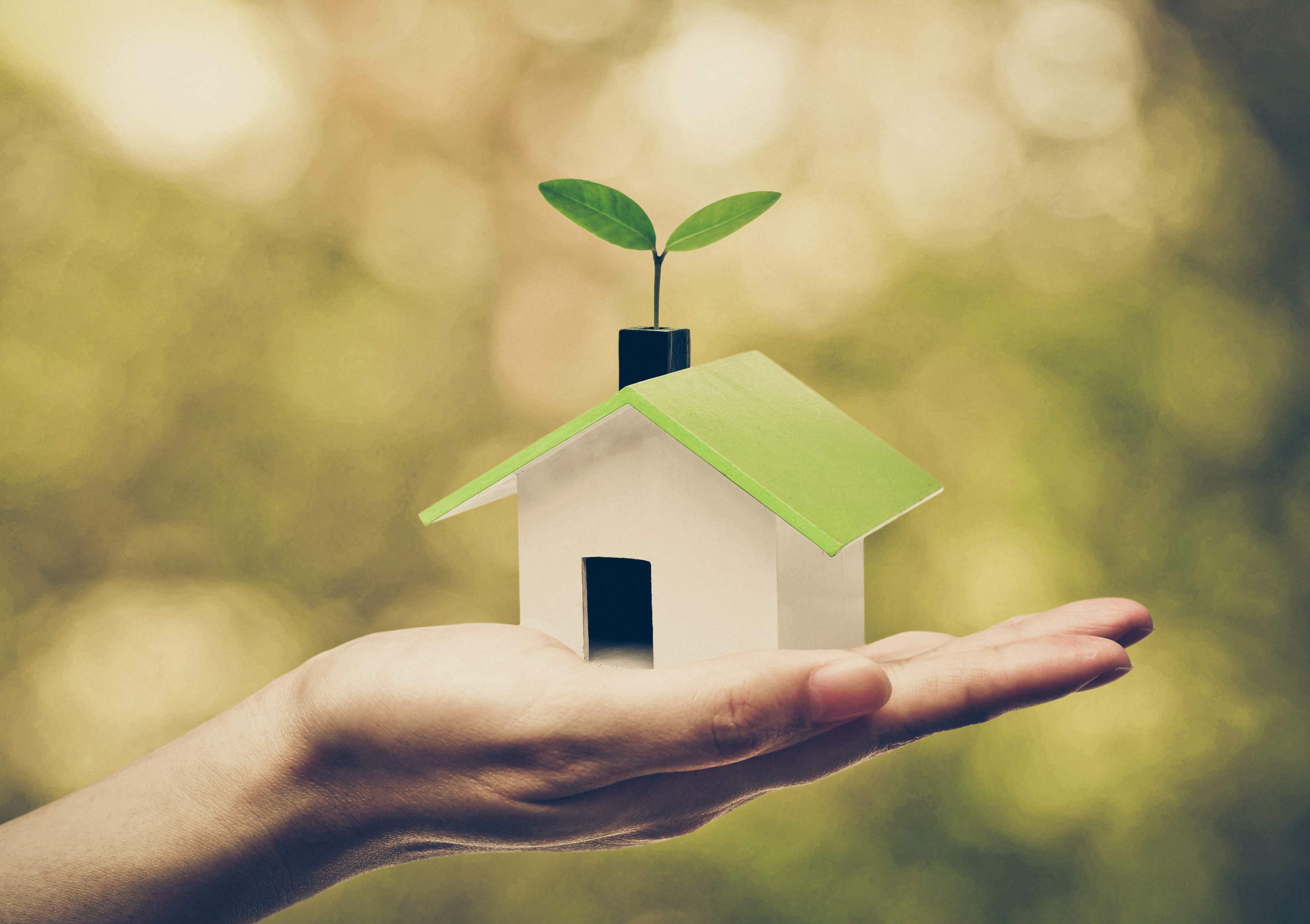 A person holding a small house in their hand with a plant inside.
